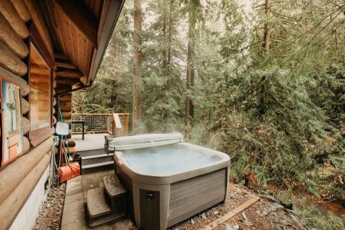 81SL - Hot Tub - WiFi - Pets Ok cabin, Glacier (foto 7)