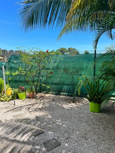 สภาพแวดล้อมโดยรอบ, Maison des Coulicous - 1 à 2 chambres (Maison des Coulicous - 1 a 2 chambres) in เรอมีร์-มงโฌลี