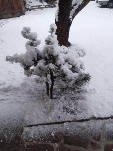  Maso Pinterato in Cavalese