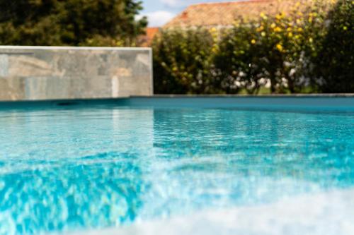 Villa de 4 chambres avec piscine privee jardin clos et wifi a Seignosse a 5 km de la plage