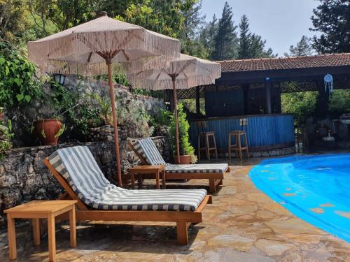 Executive Suite image 9