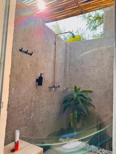 Glamping Xochitepec in Xochitepec, Mexico