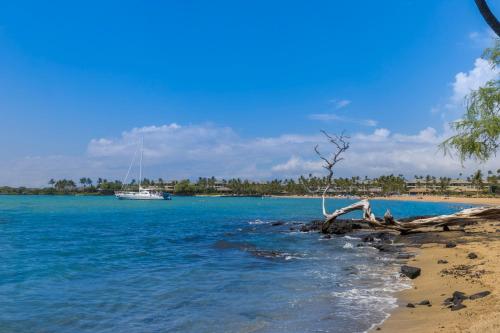 Waikoloa Colony Villas #1104