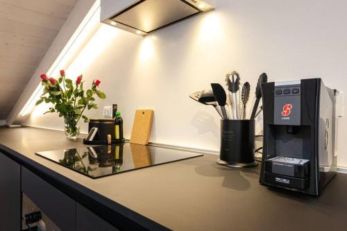 Asinelli Luxury Apartment, Boloňa (fotografie 8)