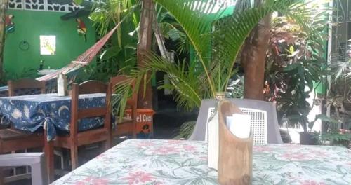 Cơ sở vật chất, Cocos Hostel in Moyogalpa