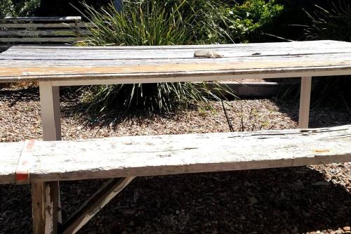 The Dunes - King Studio - 50m from Scamander Beach, Scamander (fotografie 6)