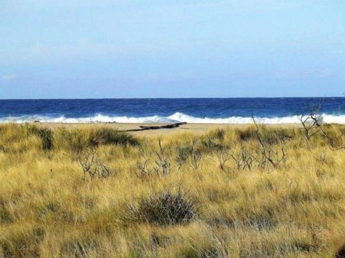 The Dunes - King Studio - 50m from Scamander Beach, Scamander (fotografie 7)