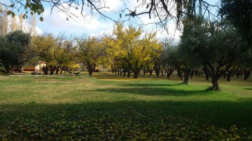 BOSQUE ENCANTADO EN SAN RAFAEL MENDOZA Cabañas hasta 5 personas