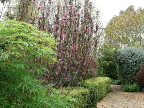 Hobreid House country stay with a beautiful garden - pets welcome