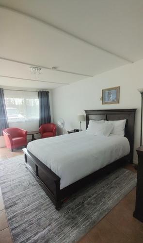 Standard Queen Room
