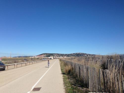Appartement 4 pers, piscine, parking, climatisation en bord de mer - FR-1-338-508, Sète (foto 4)