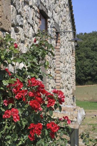  Villa Orte in 1028 Orte