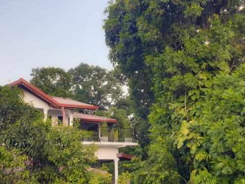 المنظر الخارجي, Hideaway Homestay kandy in ماهاويلي ريفر فرونت
