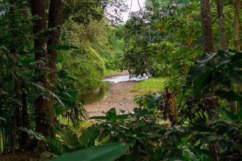 Eden Organic Farm & Bungalows