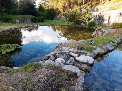 House with 3 bedrooms in Covelas Povoa de Lanhoso with wonderful mountain view shared pool and enclosed garden 35 km from the beach - image 8