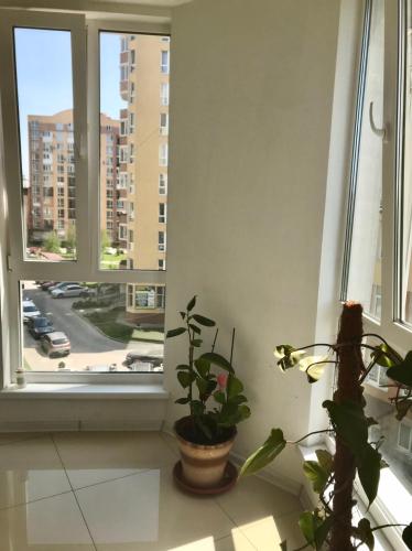 景觀, 3-х кімн квартира в новобудові поблизу центру in 捷爾諾波爾