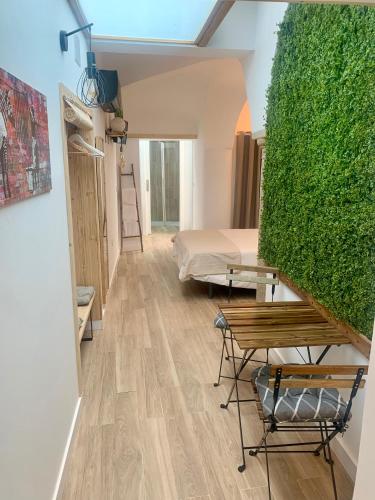 카세레스 Casa Via De La Plata 3성급 싱글룸 로비