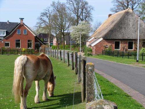  De Leemstee, Authentieke boerderij met modern comfort in Eext
