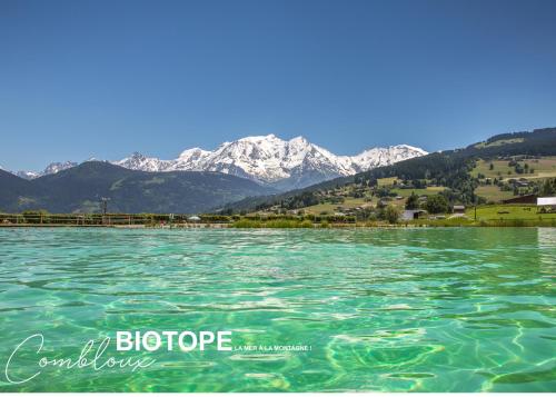 Chalet Alpen Valley Mont Blanc - Hotel - Combloux