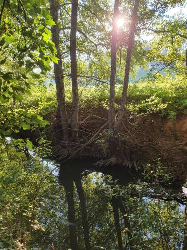 Le Sanglier Sauvage in Fayl-Billot