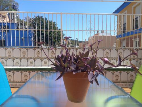 Piso Centrico 1.5km Playa con gran terraza +vistas 2