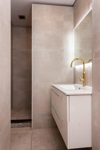 Penthouse in Center Arnhem