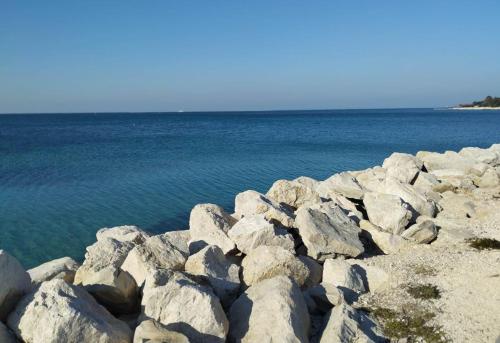 Apartma na vasi Apartma na vasi