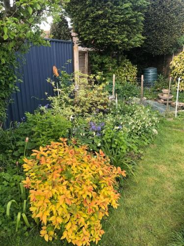 Coastal Haven Coastal Haven