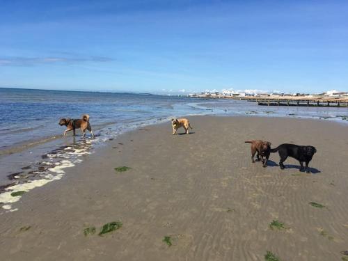 Coastal Haven Coastal Haven