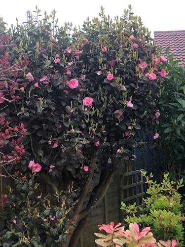 Coastal Haven Coastal Haven