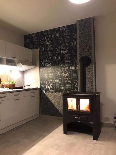 Apartmán s terasou a výhledem na jezero Lipno (Apartman s terasou a vyhledem na jezero Lipno) in Фримбурк