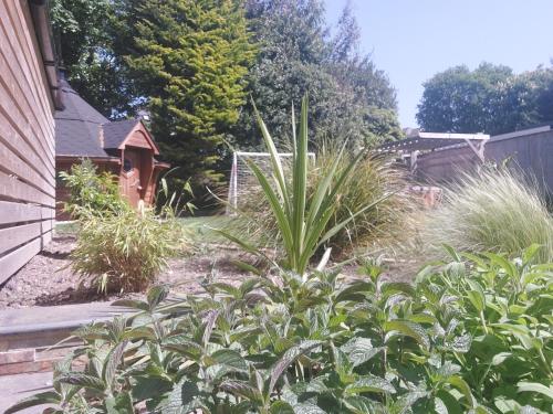 Beach House, with BBQ lodge and Hot Tub!, Bournemouth (fotografie 6)