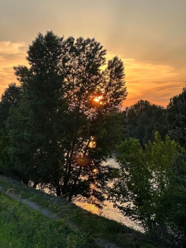 Sulla Ciclabile Apartment lungo il fiume Adige