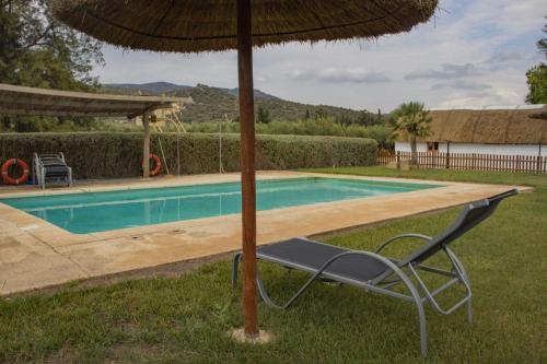 Kilátás, Torre Forcheron in Amposta