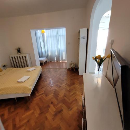Anastasia Apt 24 A 5