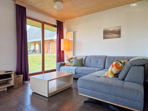 Apartment HORTENZIJA near Terme Topolšica (Apartment HORTENZIJA near Terme Topolsica) in Топольсіка