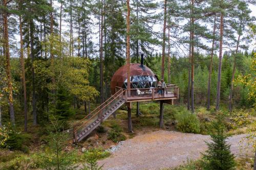 B&B Vidnes - Treehouse dome - Bed and Breakfast Vidnes