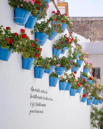 Jardines del Mar,Penthouse Elisabeth - Tap to explore photos