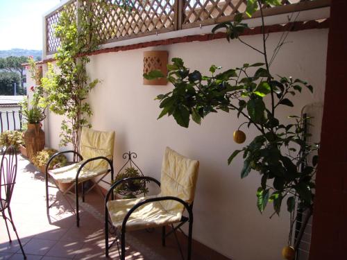Sunny Holidays Casa Vacanze – Meta, CO