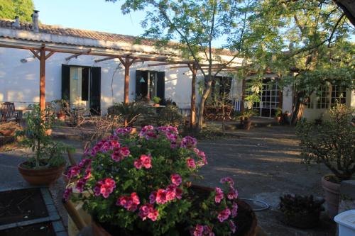B&B La casa di Pippinitto - image 7