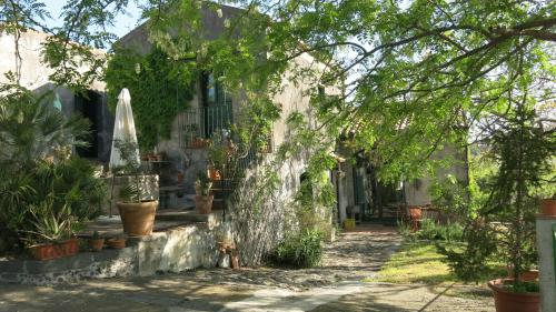 Etna B&B La casa di Pippinitto 5