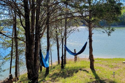 In the Treetops In the Treetops