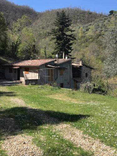 Il cuore nel bosco