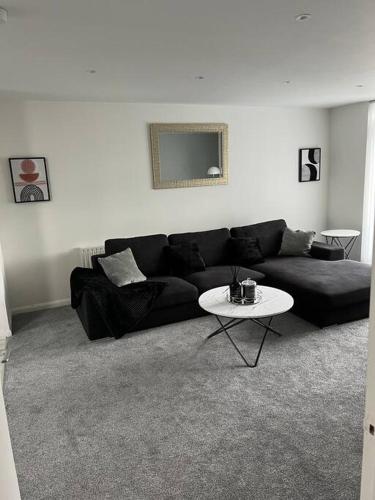 Spacious 1 Bedroom rental unit in West London, Londyn