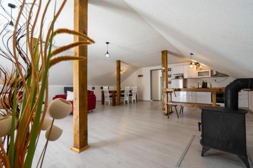 virtuve, Holiday House Zrmanja Vrelo in Gracac