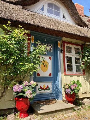 Haus am Hafen - Luxus unter Reet, Garten, Strandkorb, kleine Idylle in Prerow, Deutschland