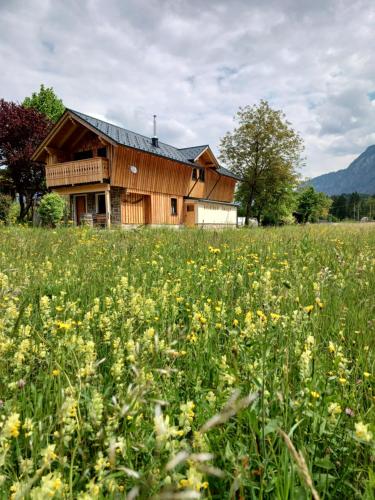 Goiserer Chalet, Bad Goisern (fotografie 8)