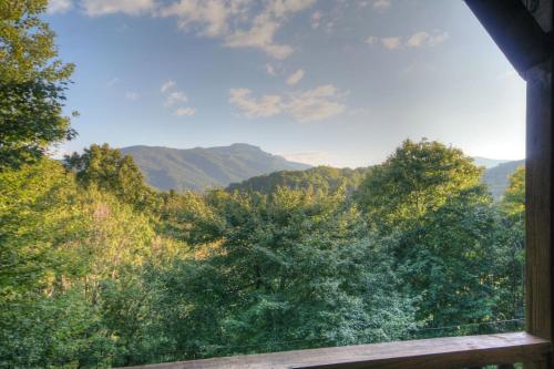 Grandfather Lookout in Seven Devils, USA