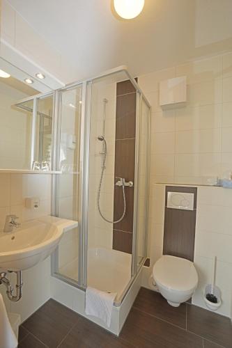 Hotel-Gasthof Rotes Roß - image 10
