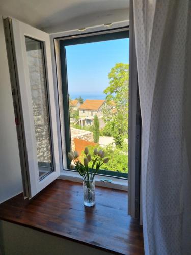 Apartman Meli in village Brusje